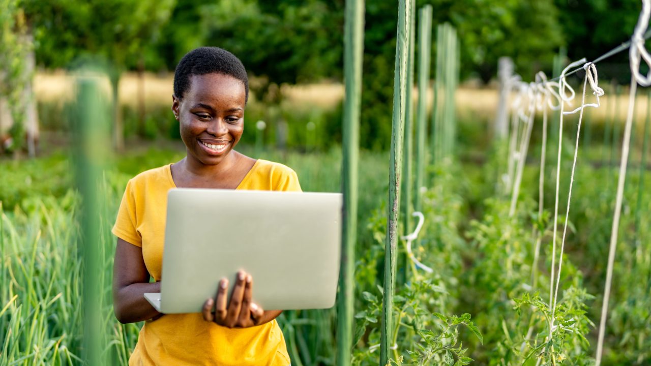 Modern agribusiness, precision farming concept.